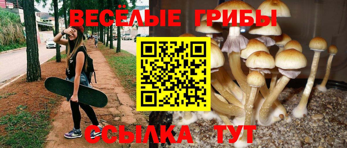 Галлюциногенные грибы MAGIC MUSHROOMS Кунгур